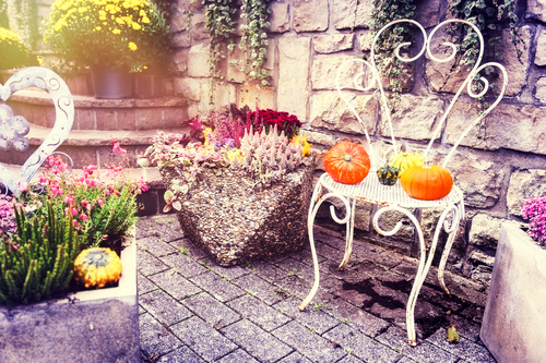 Enjoy The Weather for Thanksgiving with your New BBQ
